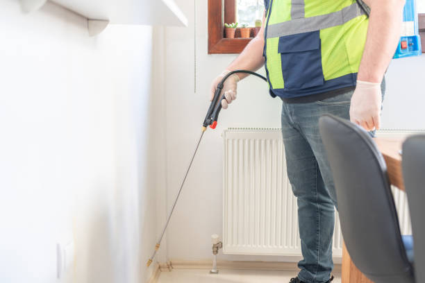 Best Flea Control Services  in Five Corners, WA